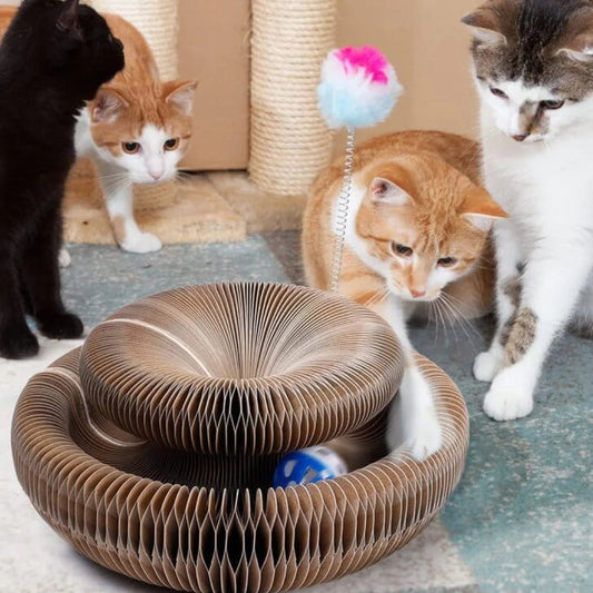 CatMaze - Katzenspielzeug | 50% RABATT