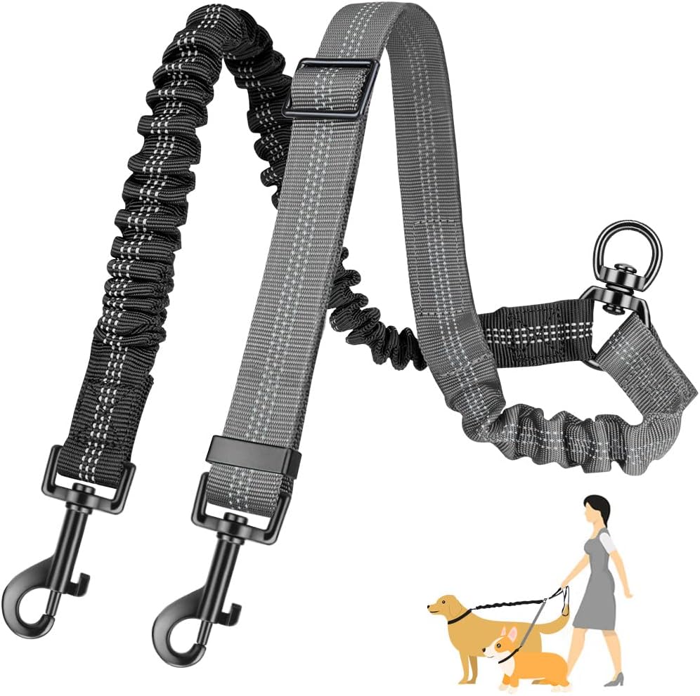 Pawfect™ | Reflektierende und verstellbare elastische Hundeleine