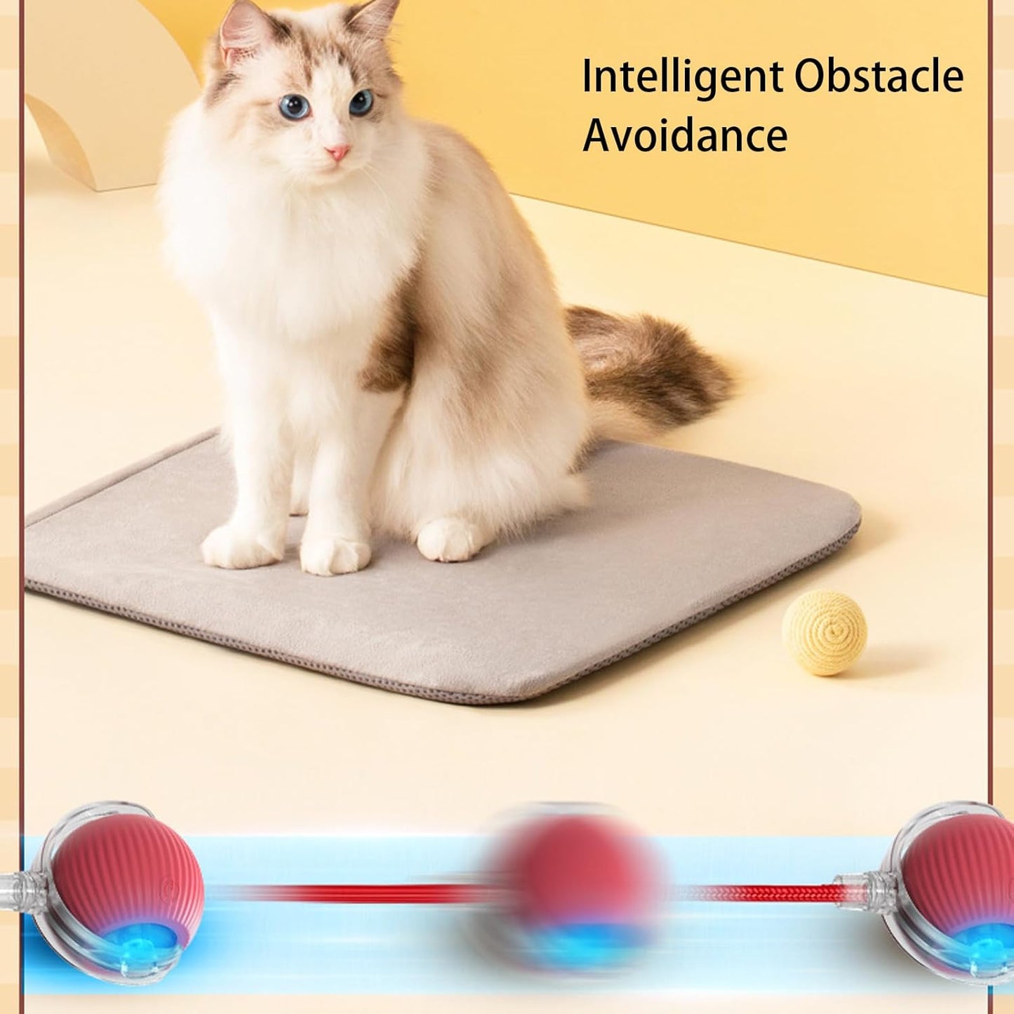 1+1 GRATIS | FetchiePaws - Automatische, sich selbst bewegende Aktion