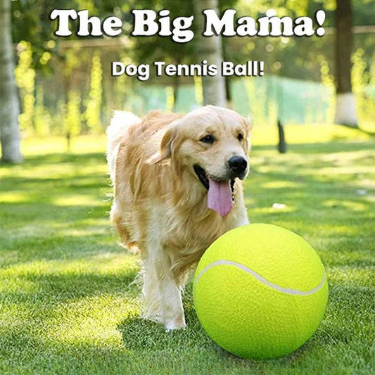 50% RABATT | MegaFetch™ | XXL Hundeball für endlosen Spielspaß