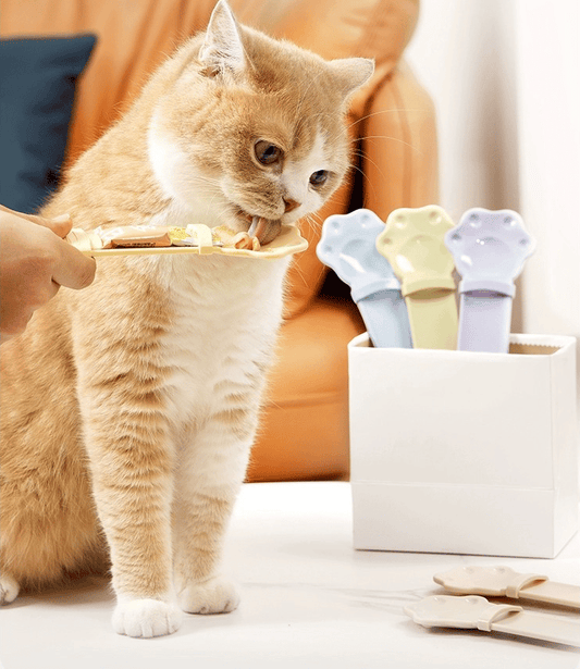 CatSnackPro – Katzennahrungslöffel | 1+1 GRATIS