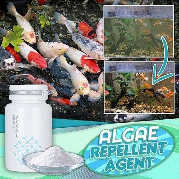 Teich Algenmittel 50 g | Klärt grünes Wasser & bindet Schwebstoffe | Für Teichfische & Pflanzen geeignet, Dosierung 1–2 g/100 L