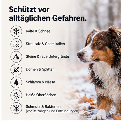 PawShield™ – Selbstklebende Pfotenpads für sicheren Halt & geschützte Hundepfoten