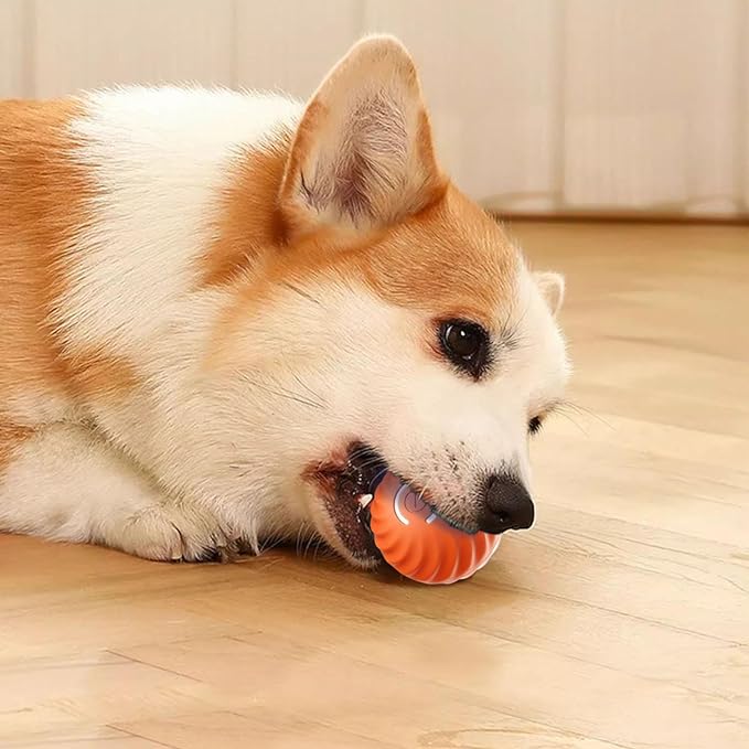 Automatischer intelligenter Hundeball zum Necken