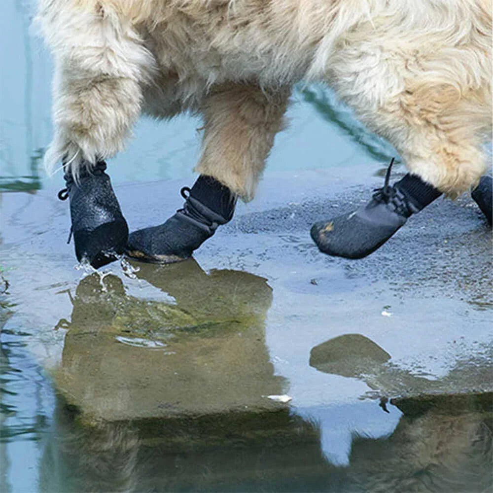PawGuard - Ultimativer Schutz für die Pfoten Ihres Hundes überall
