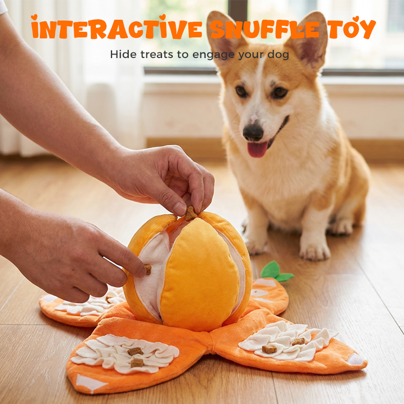 CitrusQuest — Interaktives Hundespielzeug | 50% RABATT
