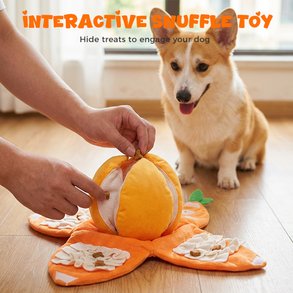 CitrusQuest — Interaktives Hundespielzeug | 50% RABATT