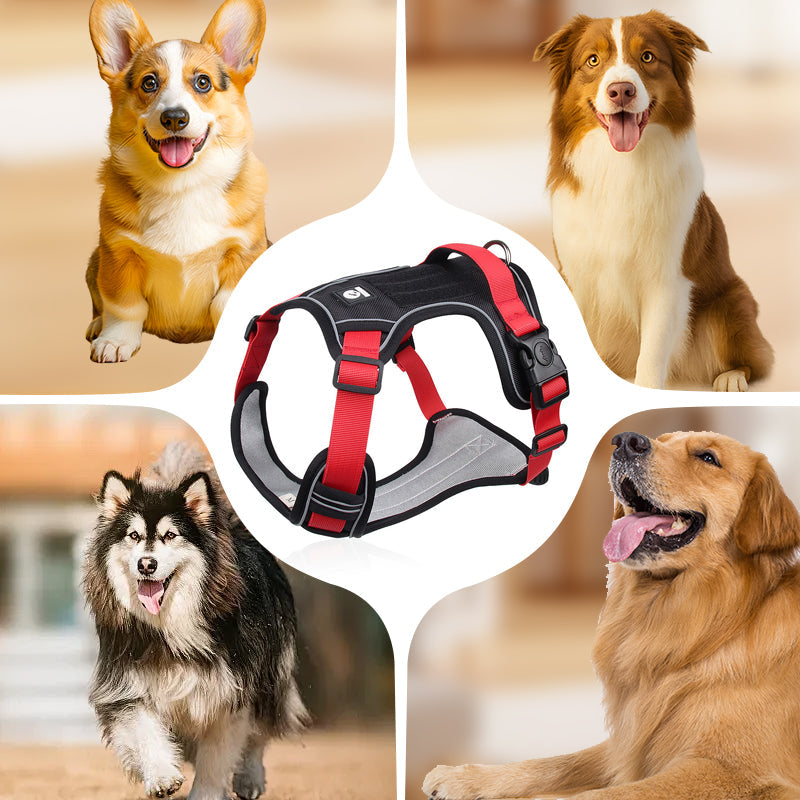 SafeGlow Harness™ | No-Pull Hundegeschirr mit LED-Halsband