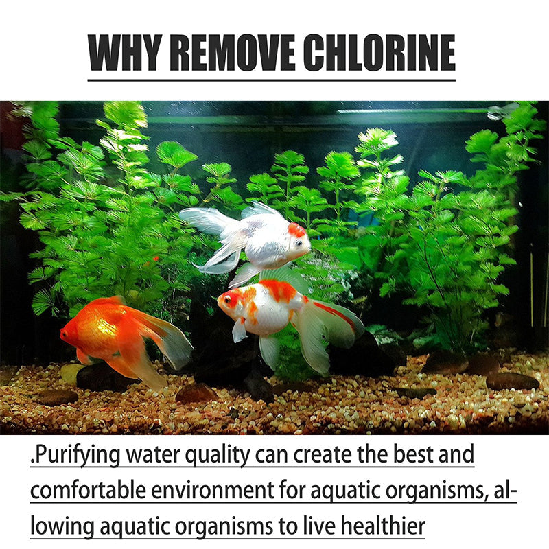 AquaPure — Chlorabwehr Tabletten | 1+1 GRATIS