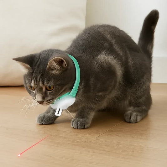 PawLuxe™ | Interaktives Laser-Spielzeughalsband für Katzen