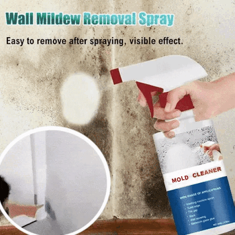 SchimmelpilzSchutz™ – Extra Starker Schimmelentferner | Sichere Anti-Schimmel-Barriere | 1+1 Gratis
