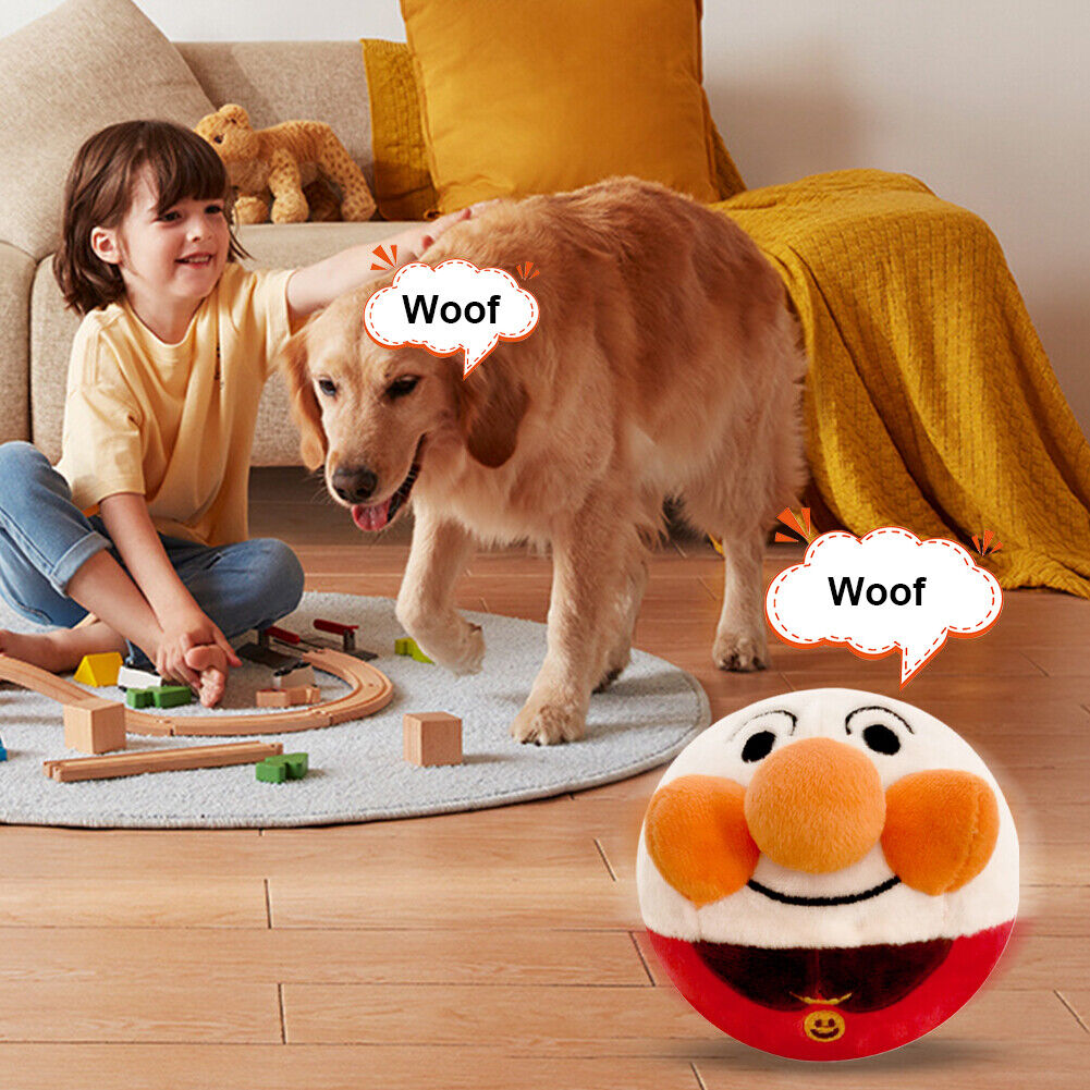 Interaktives Hundespielzeug