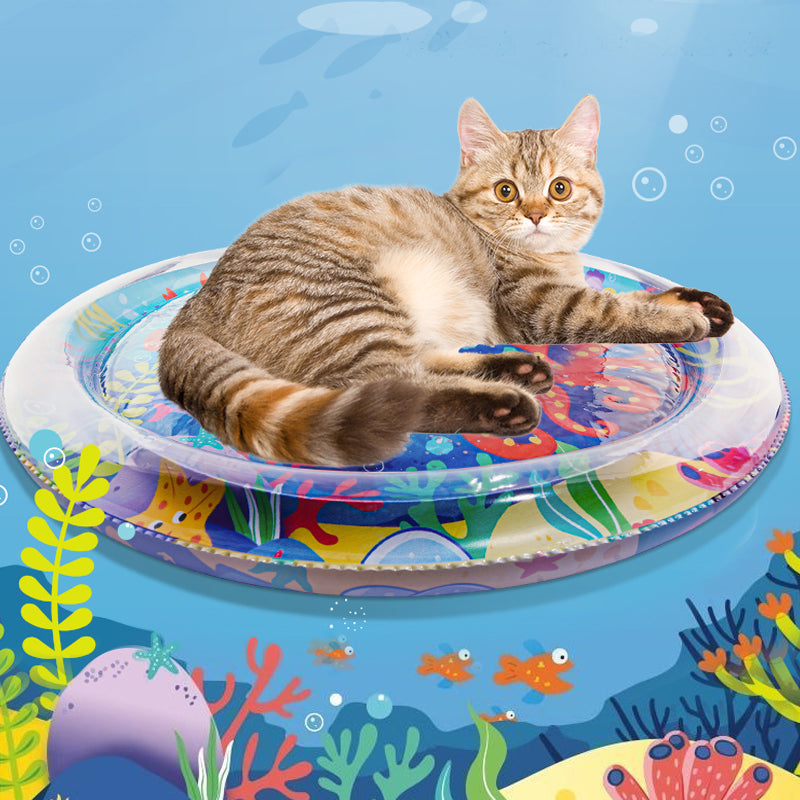 AquaPlay - Die perfekte Wassermatte für Haustiere | 50% RABATT