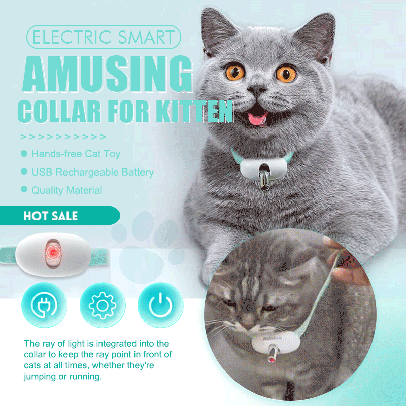 PurrPlay - Halten Sie Ihre Katze sofort aktiv, gesund und glücklich