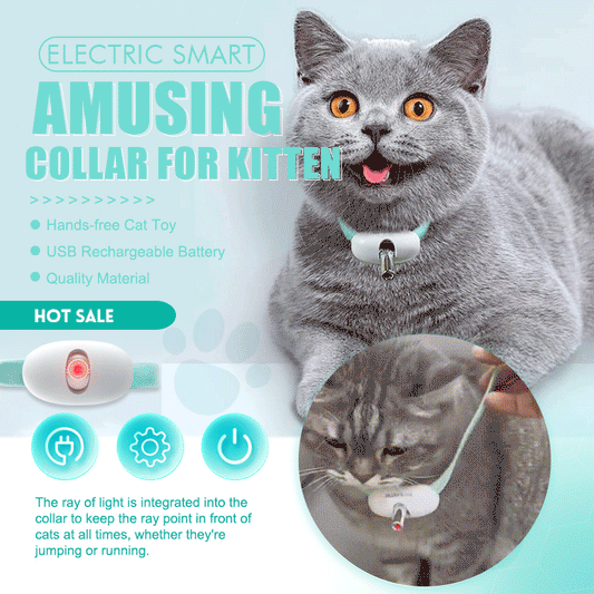 PurrPlay - Halten Sie Ihre Katze sofort aktiv, gesund und glücklich