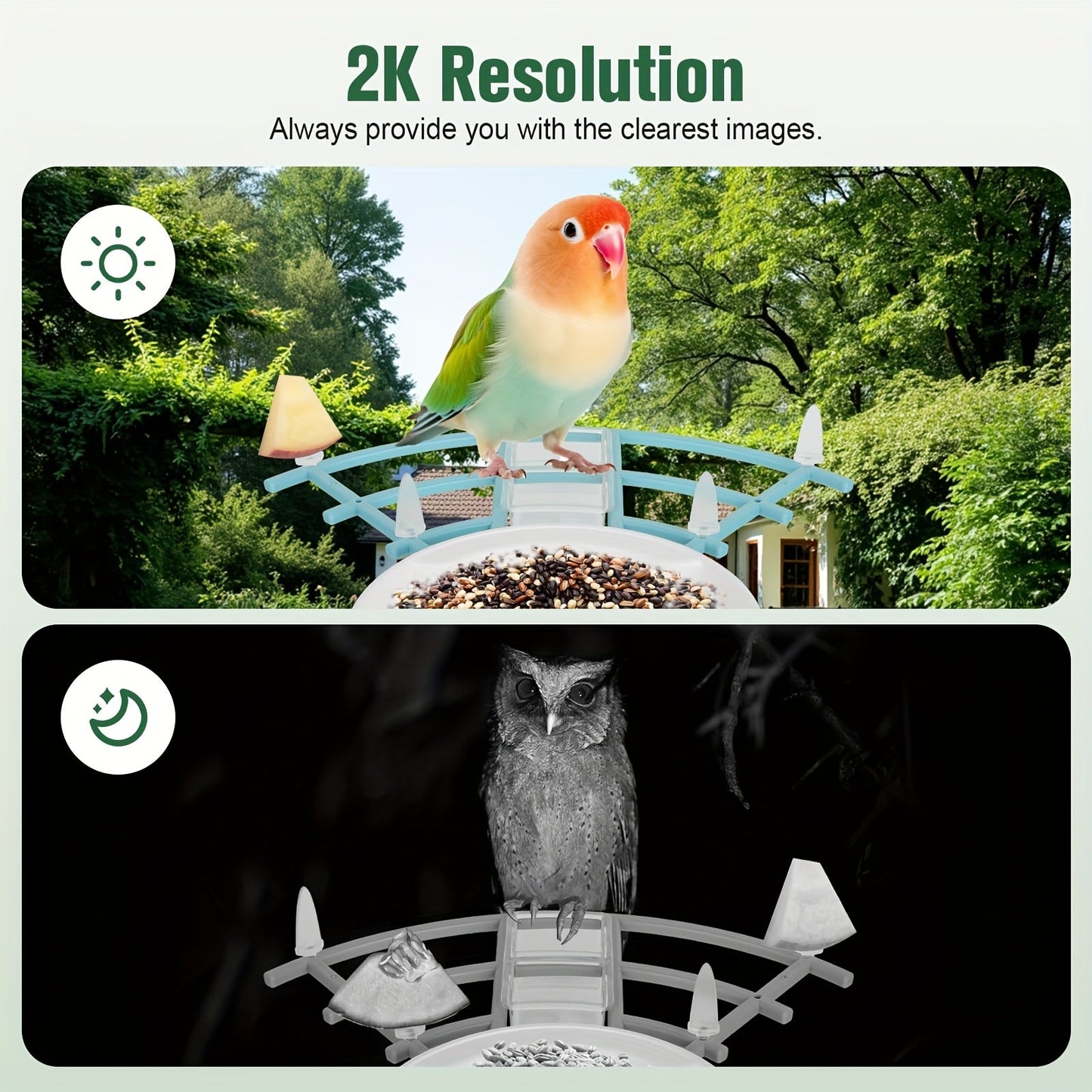 Smart Bird Feeder with Camera