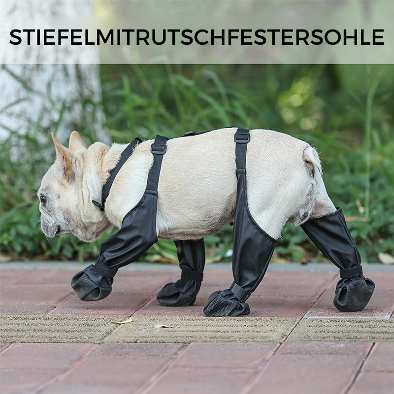 PawGuard - Sichere und komfortable Pfoten | 1+1 GRATIS