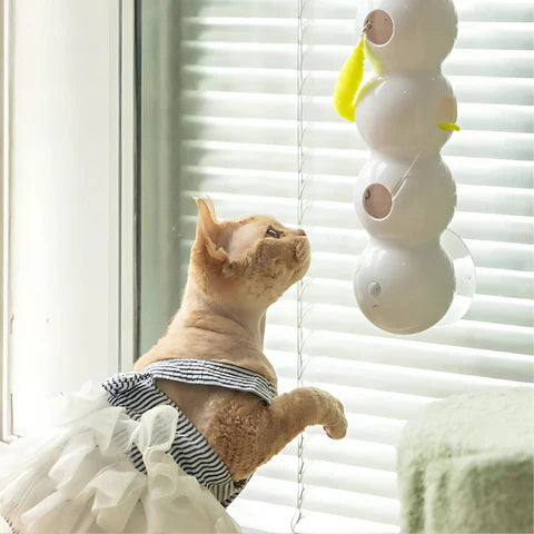 WigglePounce™ | Interaktives Wandspielzeug für Katzen