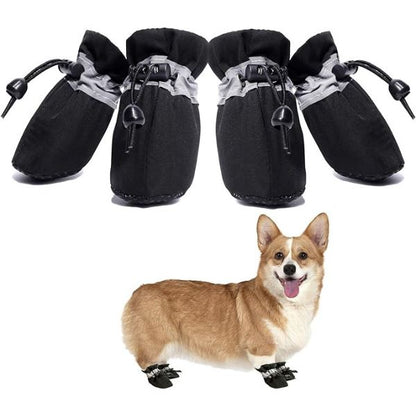PawGuard - Schluss mit schmutzigen Pfoten | 50% RABATT