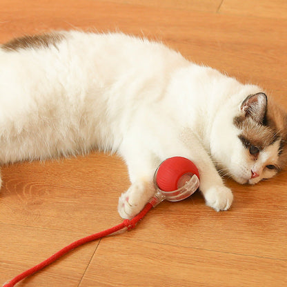 KatzenPower - Interaktiver Indoor-Katzenball | 1+1 GRATIS