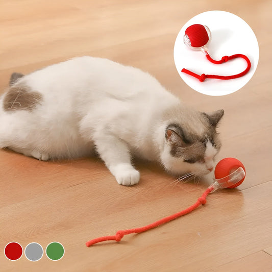 KatzenPower - Interaktiver Indoor-Katzenball | 1+1 GRATIS