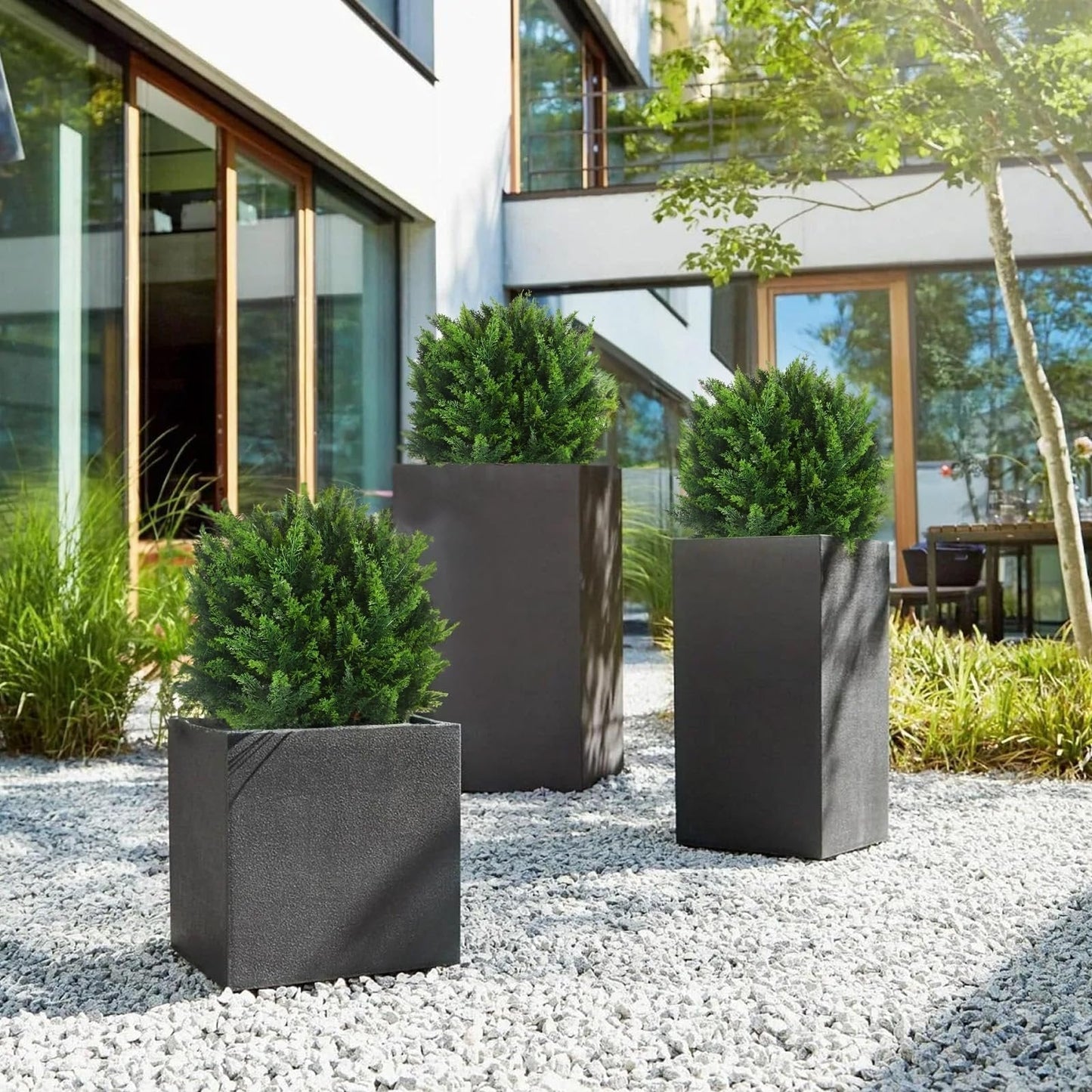 EverGreen-Zeder – dekorativer Outdoor-Baum im Topf