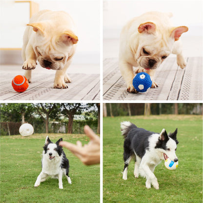 Chewball - Unsterbliches Spielzeug für aggressive Kauer | 1+1 GRATIS