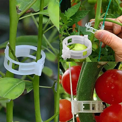 GardenGuard Clips — Wiederverwendbare Pflanzenstützclips für Gartenstängel und Ranken