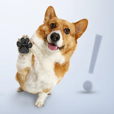 50% RABATT | PawSafe | 4 Stück SAnti-Rutsch-Schutz-Aufkleber