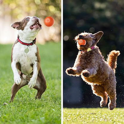 Automatischer intelligenter Hundeball zum Necken