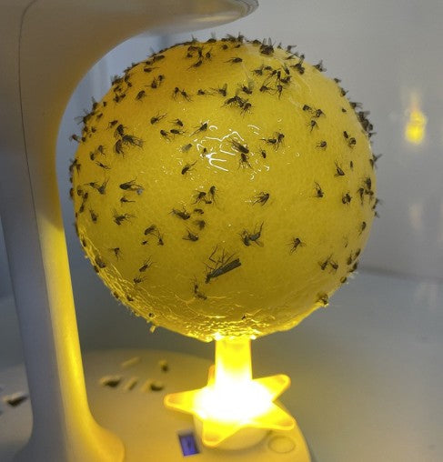 FlyNest™ | LED Insektenfalle ohne Chemikalien