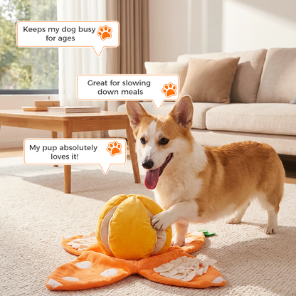 SniffBuddy™ | Hundespielzeug – Interaktives Schnüffelspiel, Plüsch & faltbar
