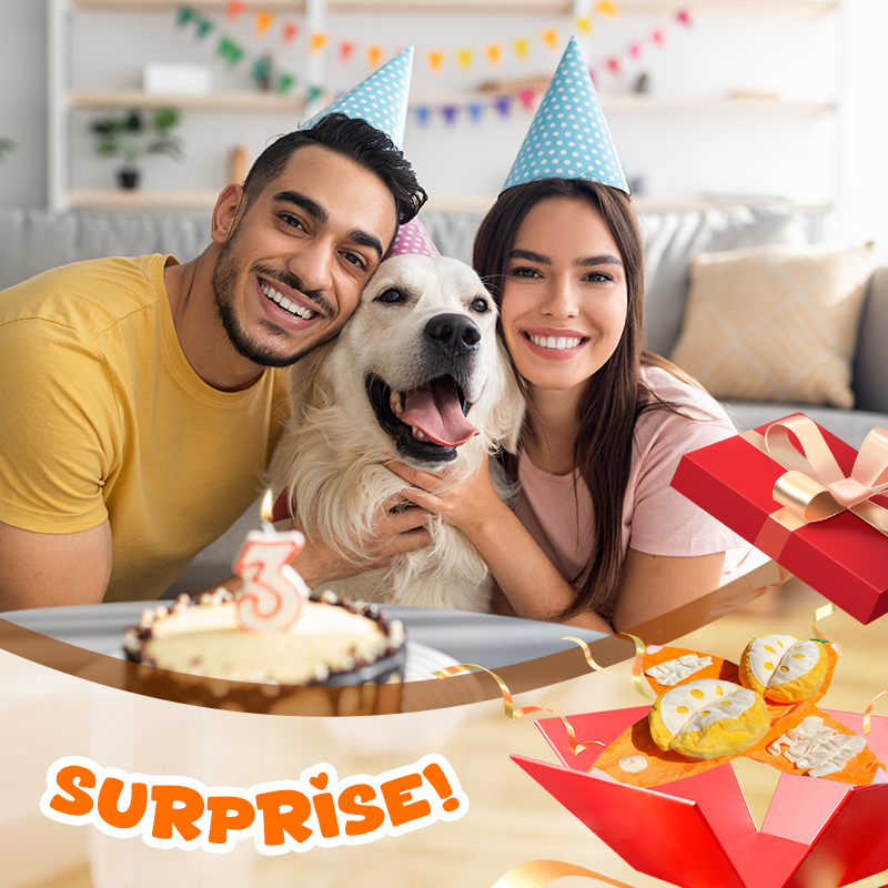 CitrusQuest — Interaktives Hundespielzeug | 50% RABATT