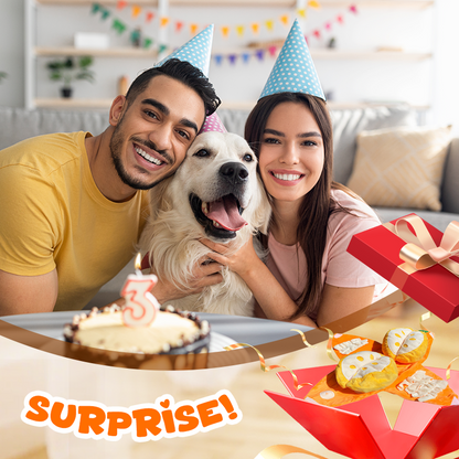 CitrusQuest — Interaktives Hundespielzeug | 50% RABATT