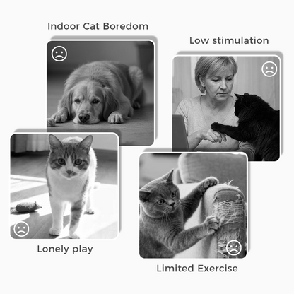 CitrusQuest — Interaktives Hundespielzeug | 50% RABATT