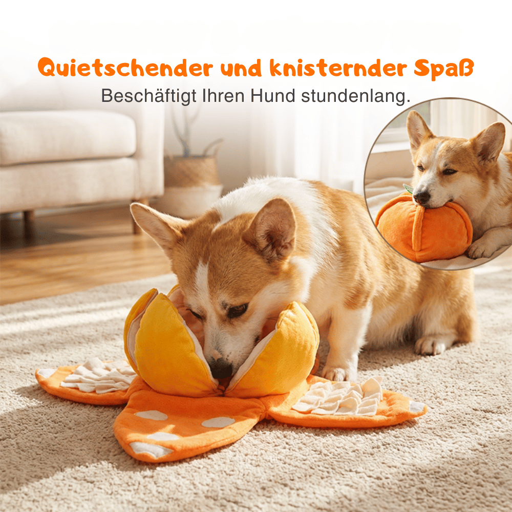 CitrusQuest — Interaktives Hundespielzeug | 50% RABATT