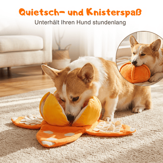 SniffBuddy™ | Hundespielzeug – Interaktives Schnüffelspiel, Plüsch & faltbar