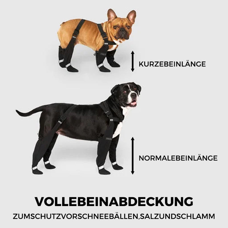 PawGuard - Sichere und komfortable Pfoten | 1+1 GRATIS
