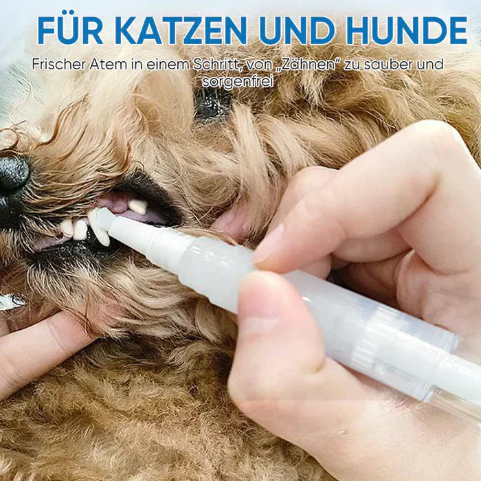 1+1 Gratis | PawBright | Saubere Zähne, glückliches Tier!