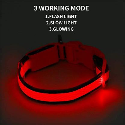 LED-Halsbänder für Hunde™