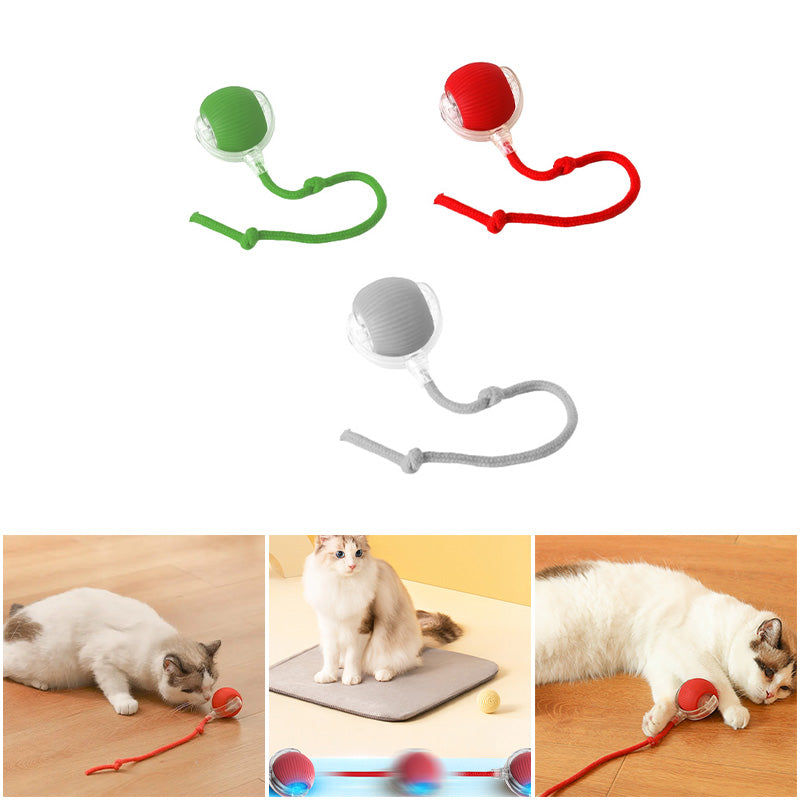 KatzenPower - Interaktiver Indoor-Katzenball | 1+1 GRATIS