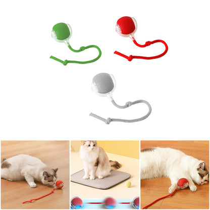 KatzenPower - Interaktiver Indoor-Katzenball | 1+1 GRATIS
