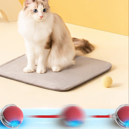 KatzenPower - Interaktiver Indoor-Katzenball | 1+1 GRATIS