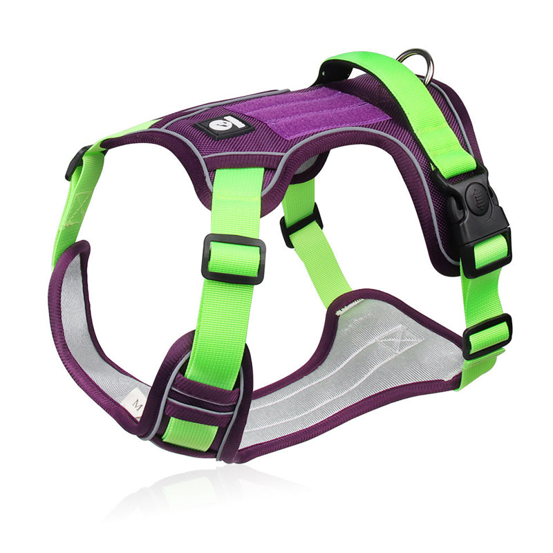 SafeGlow Harness™ | No-Pull Hundegeschirr mit LED-Halsband