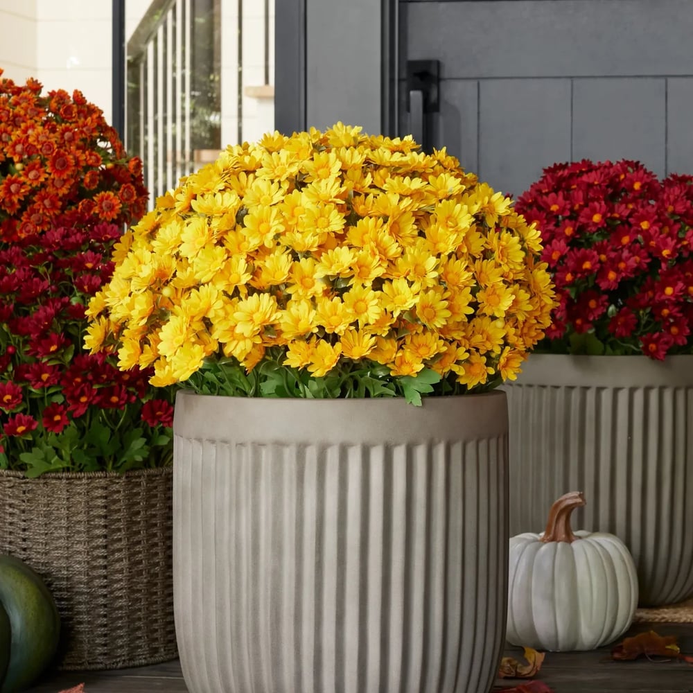 EverFall – Künstliche Herbst-Chrysantheme im Topf