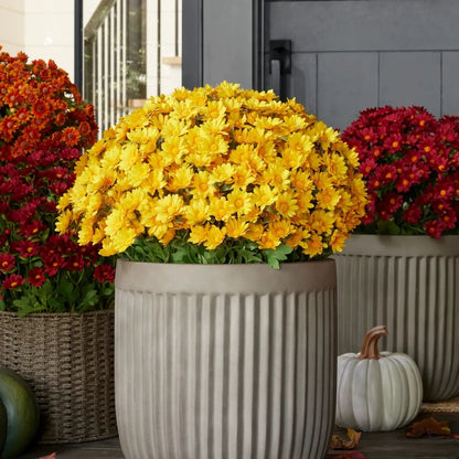 EverFall – Künstliche Herbst-Chrysantheme im Topf