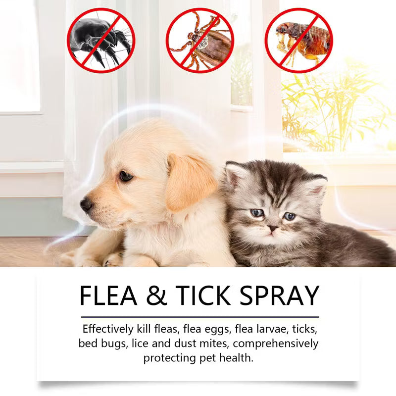 🐶 3 kaufen, 2 gratis 🐱 Haustierabweisendes Reinigungs- und Pflegespray
