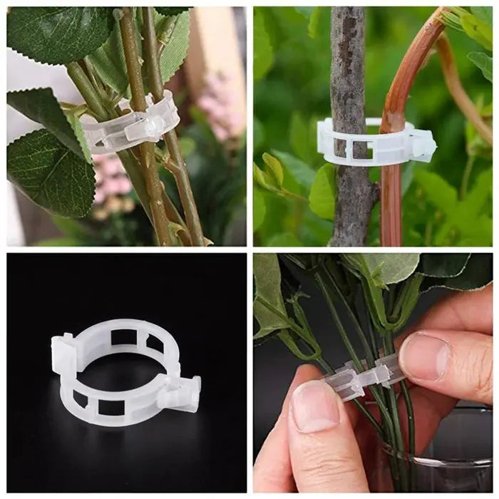 GardenGuard Clips — Wiederverwendbare Pflanzenstützclips für Gartenstängel und Ranken