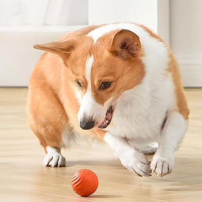 Automatischer intelligenter Hundeball zum Necken