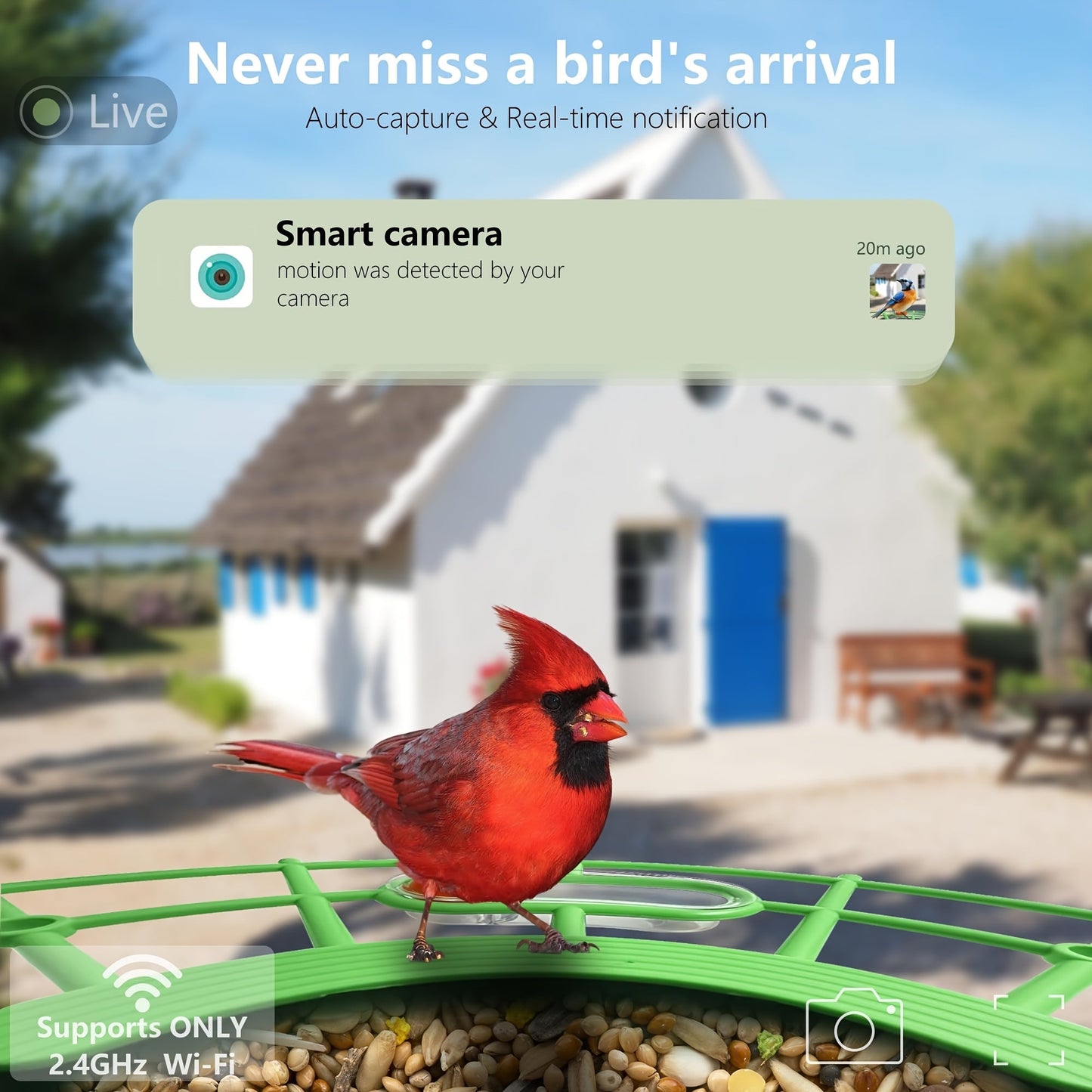 Smart Bird Feeder with Camera